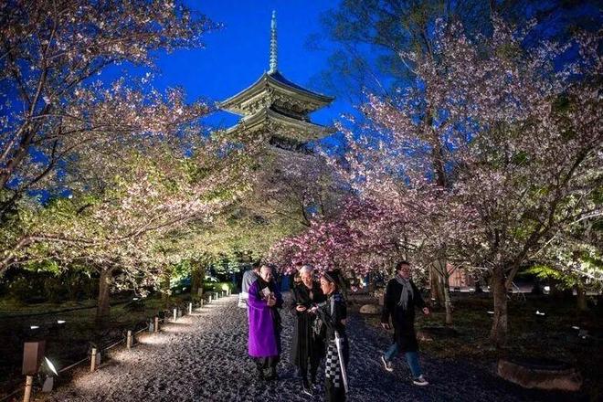 消日本民意出现下滑高市或成“短命首相”pg模拟器电脑版46条航线航班全部取(图14) 消日本民意出现下滑高市或成“短命首相”pg模拟器电脑版46条航线航班全部取(图14)